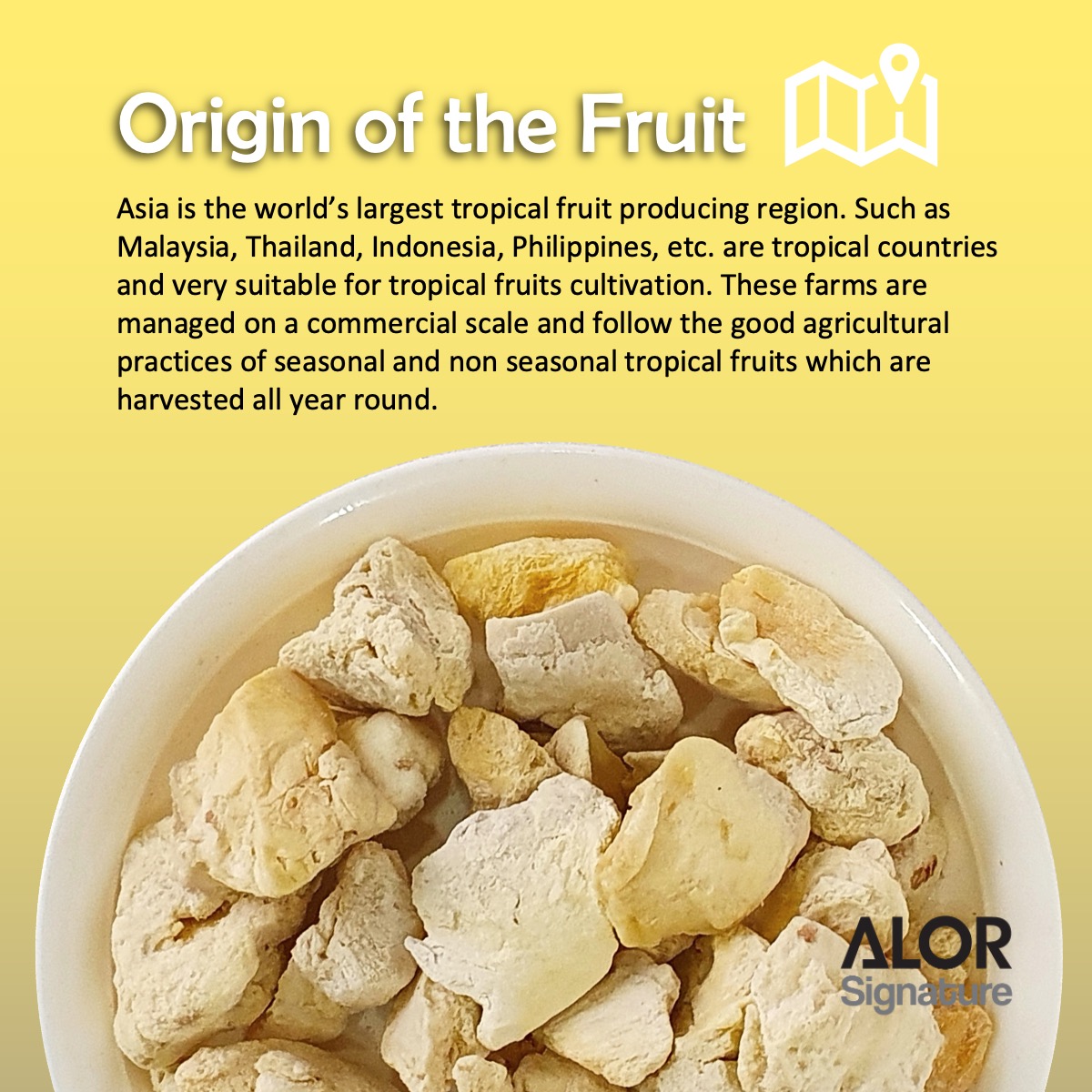 ALOR_600071_freeze-dried-fruit-durian_04