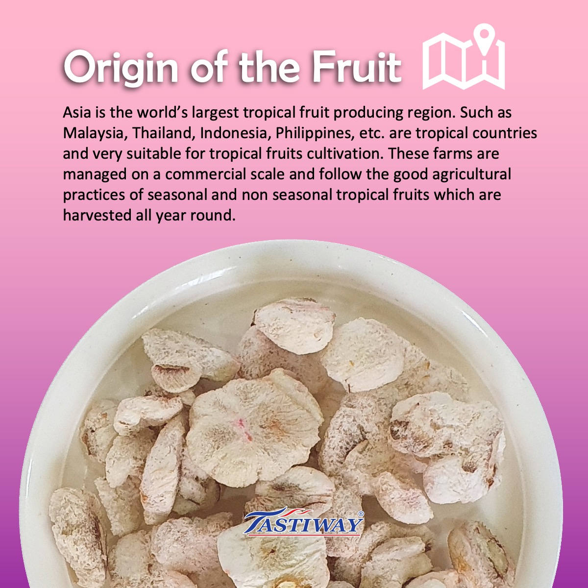 ALOR_600134_freeze-dried-fruit-mangosteen_04