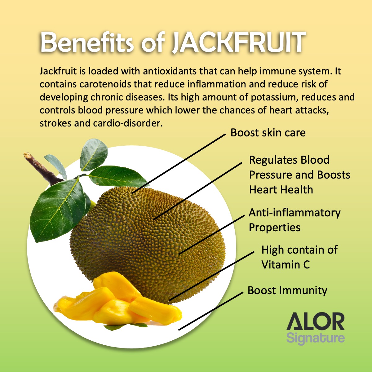ALOR_600135_freeze-dried-fruit-jackfruit_02