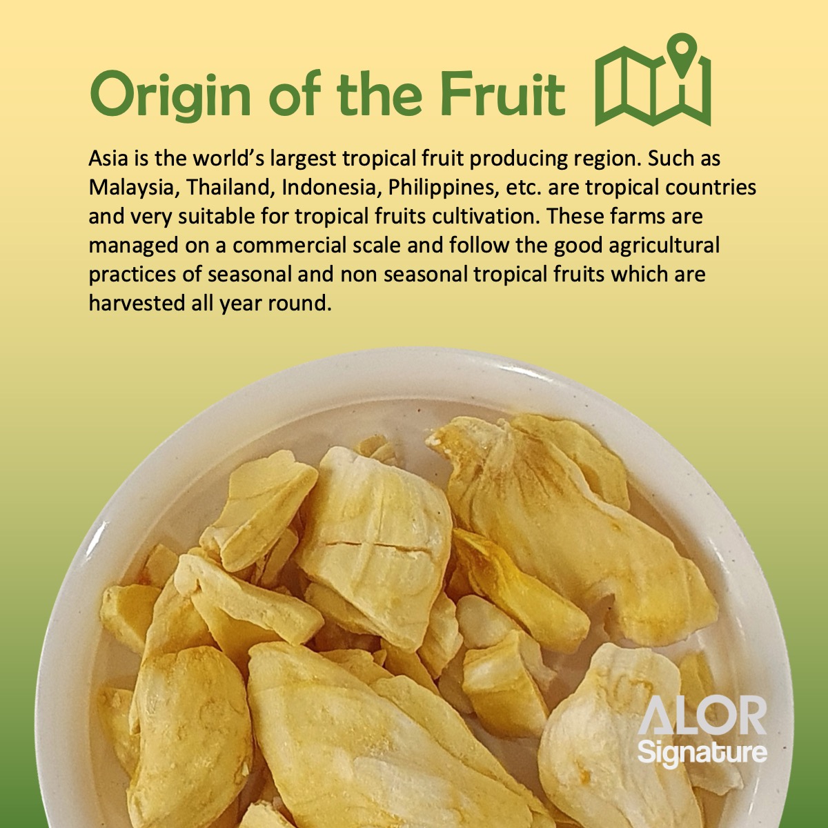 ALOR_600135_freeze-dried-fruit-jackfruit_04