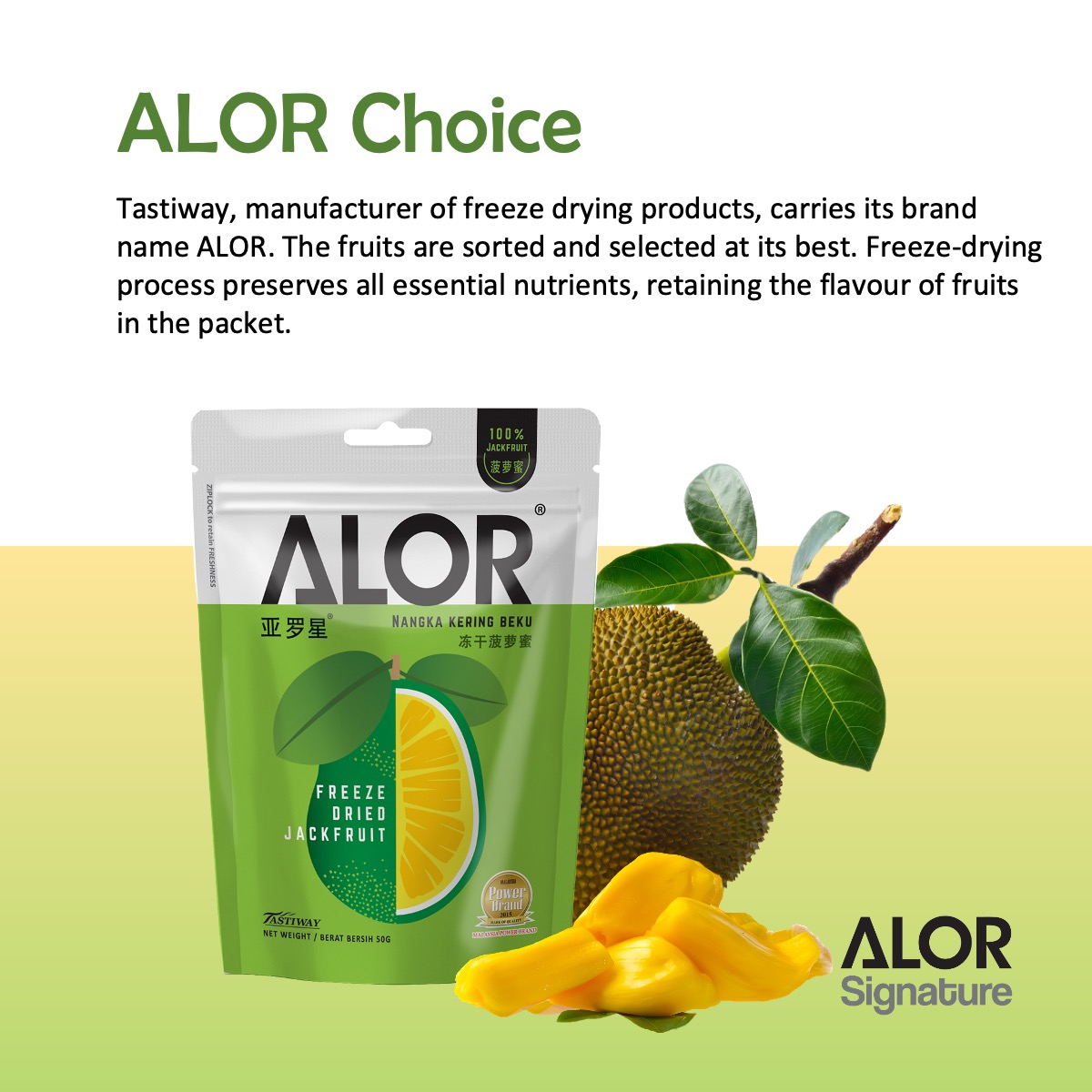 ALOR_600135_freeze-dried-fruit-jackfruit_05