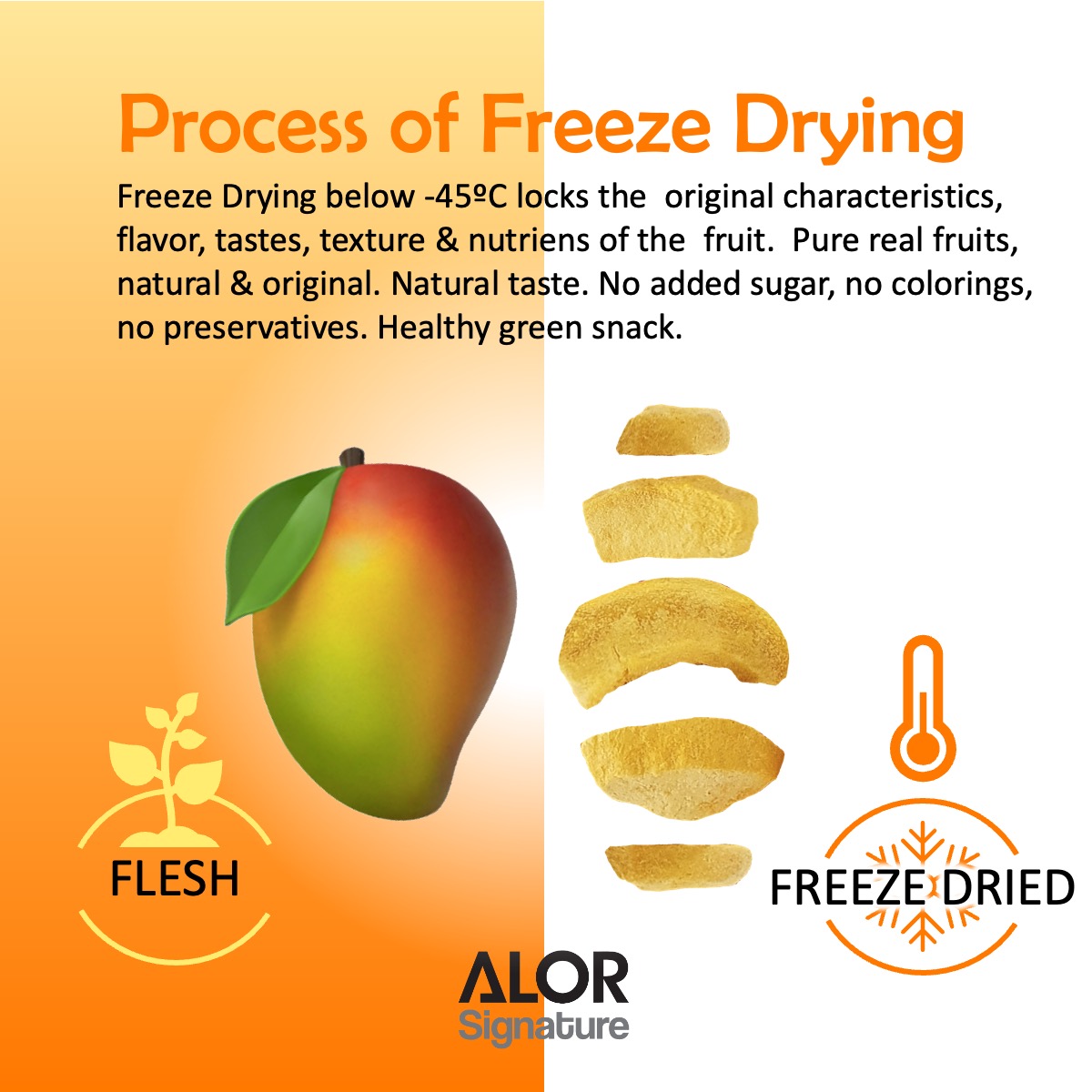 ALOR_600322_freeze-dried-fruit-mango_03