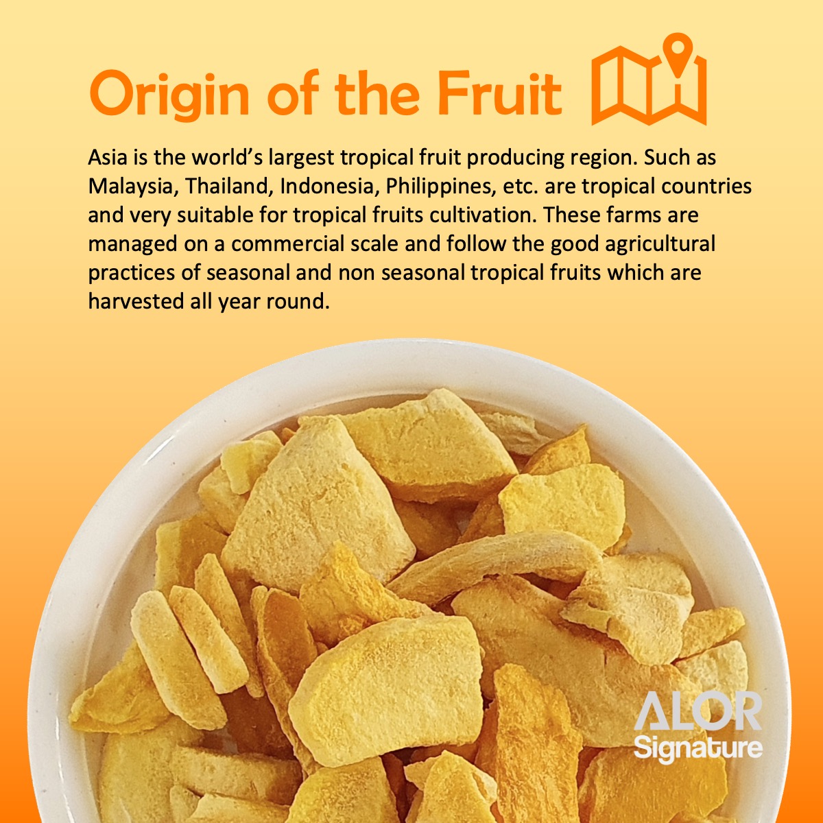 ALOR_600322_freeze-dried-fruit-mango_04