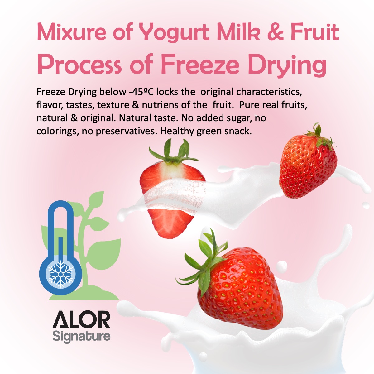 ALOR_600358_yogurt-bites-strawberry_03