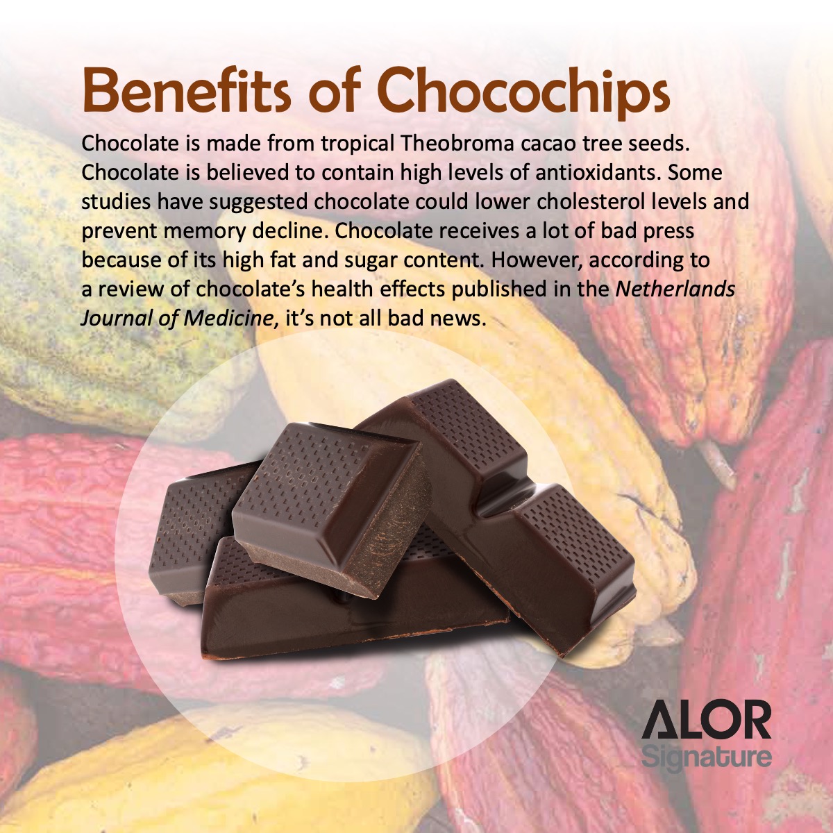 ALOR_600387_yogurt-bites-chocochips_02