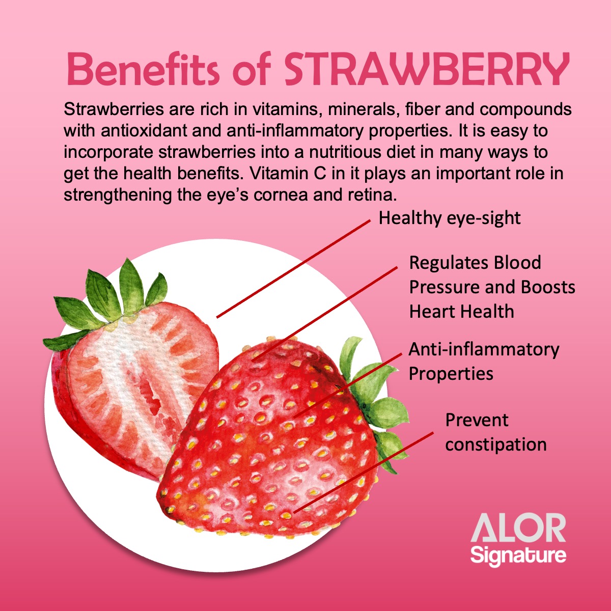 ALOR_600388_freeze-dried-fruit-strawberry_02