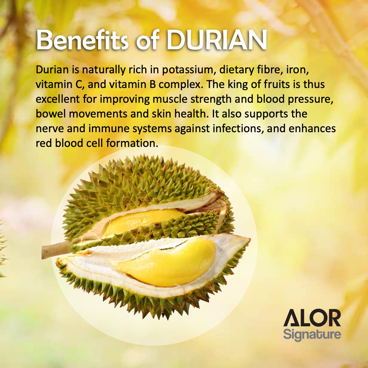 ALOR_600391_yogurt-bites-durian_02